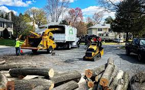 Best Hazardous Tree Removal  in Silver Firs, WA