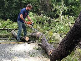 Best Aeration Services  in Silver Firs, WA