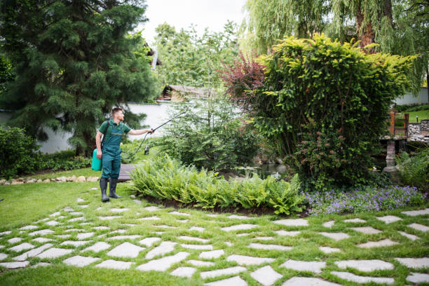 Best Lawn Pest Prevention  in Silver Firs, WA